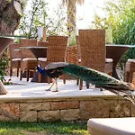 Hotel Achtis 4*